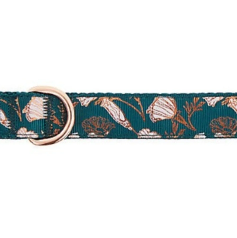 New Top Paw Gold Metallic Seashell Fashion Floral Teal Collar Size Small